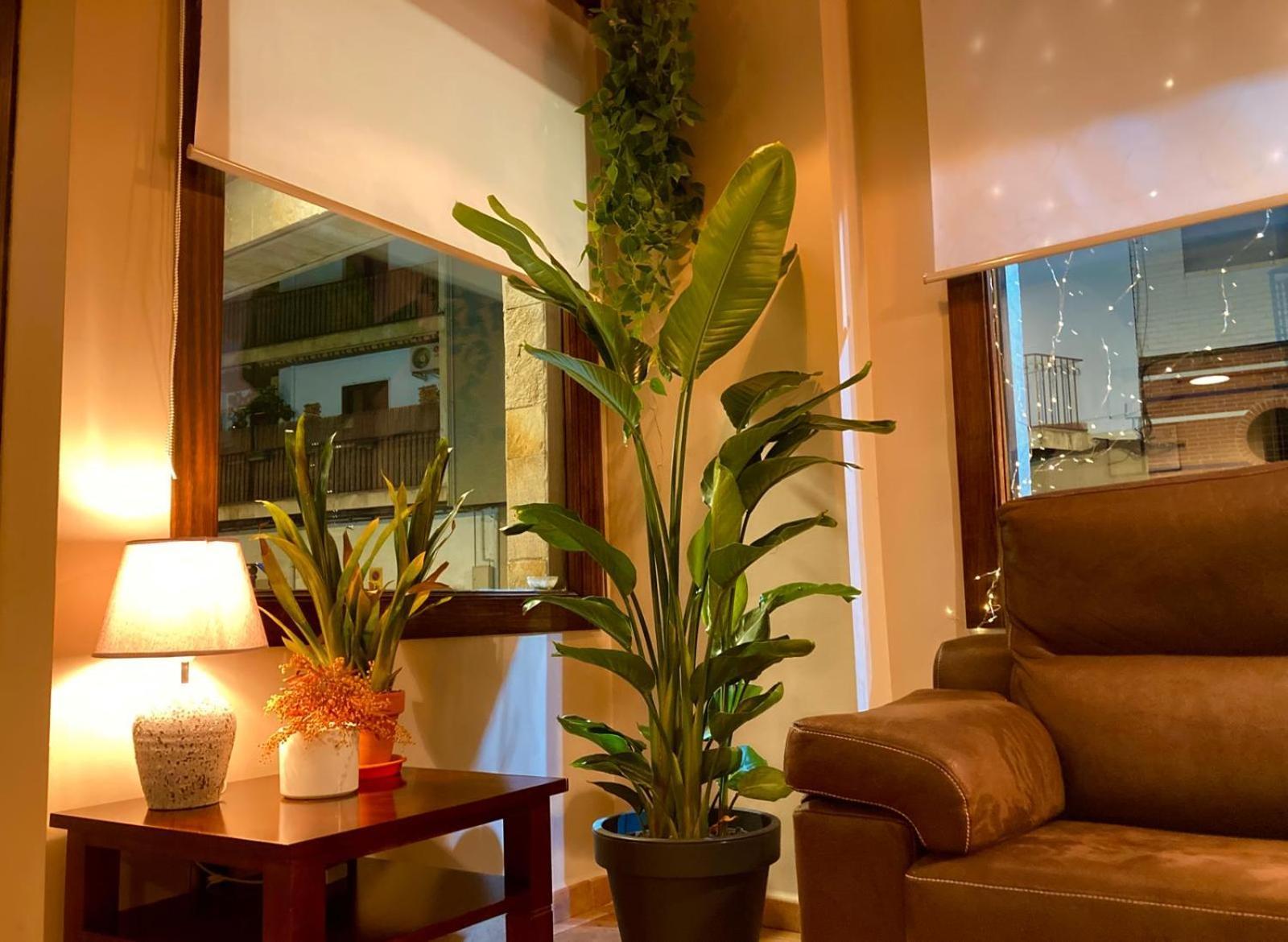 Tharsis Hotel Cazorla